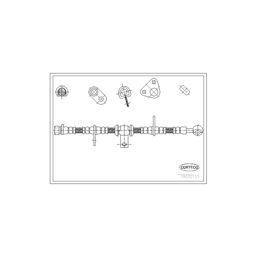 Corteco 19032125 Brake Hose | ML Performance UK