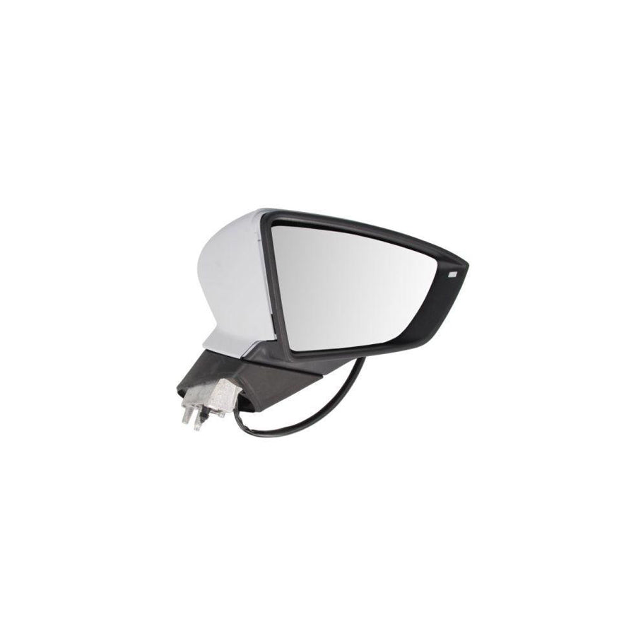 Blic 5402-10-2002306P Wing Mirror