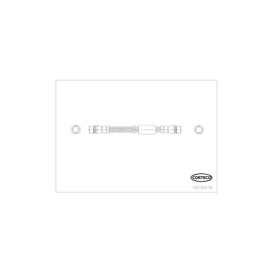 Corteco 19036536 Brake Hose For Fiat Scudo | ML Performance UK
