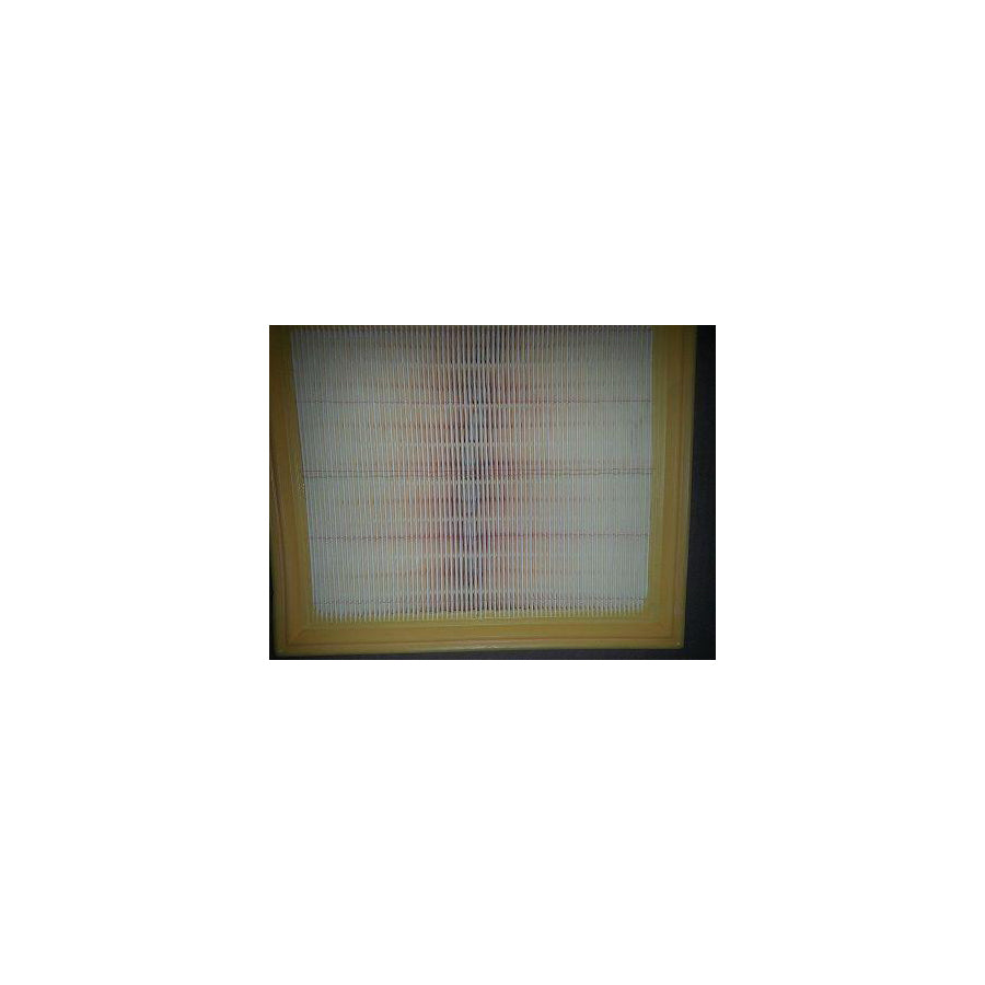 Bugiad BSP20856 Air Filter