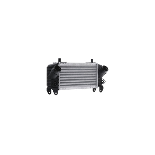 AKS Dasis 227003N Intercooler | ML Performance UK