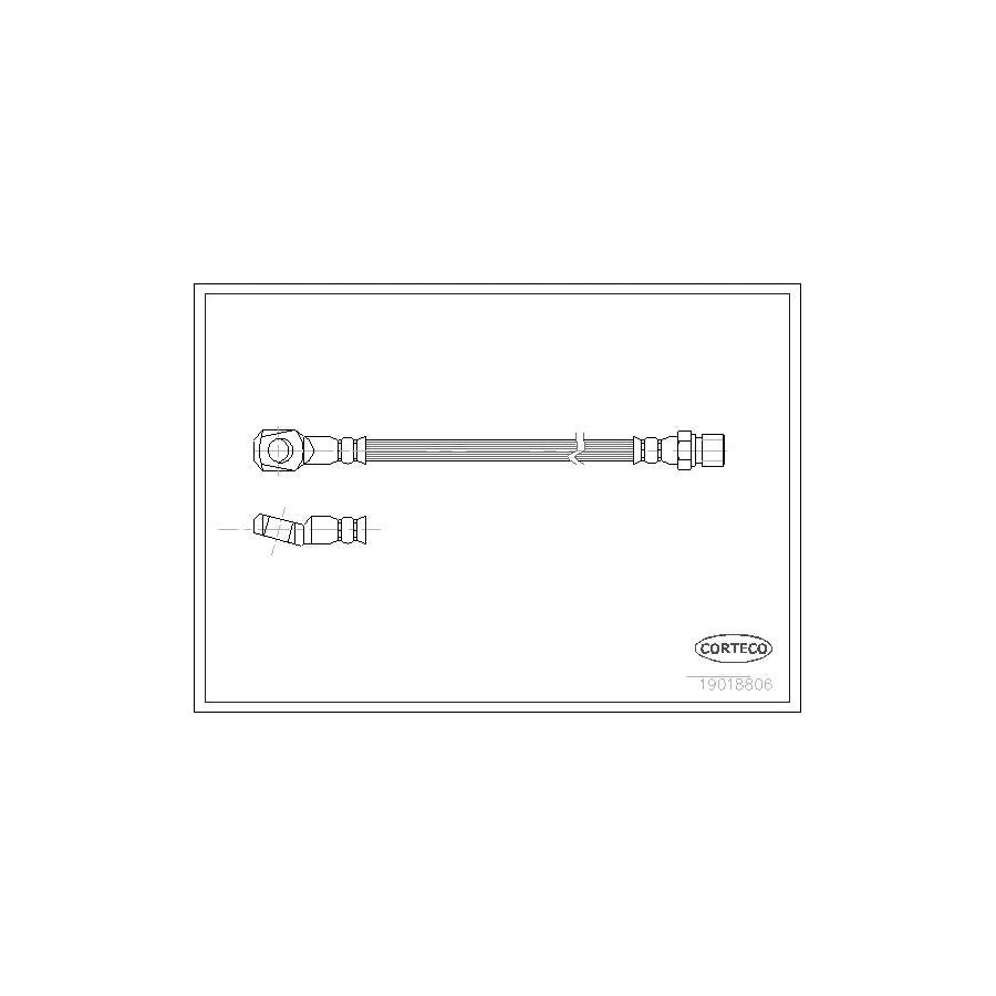 Corteco 19018806 Brake Hose Suitable For Mercedes-Benz 100 | ML Performance UK