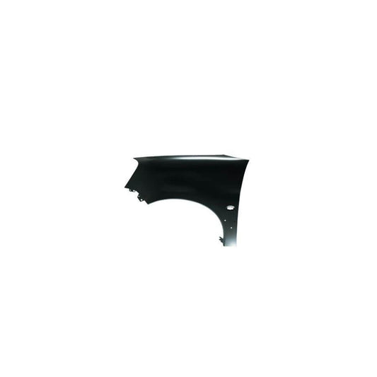 Abakus 00924261 Wing Fender For Citroën Berlingo | ML Performance UK