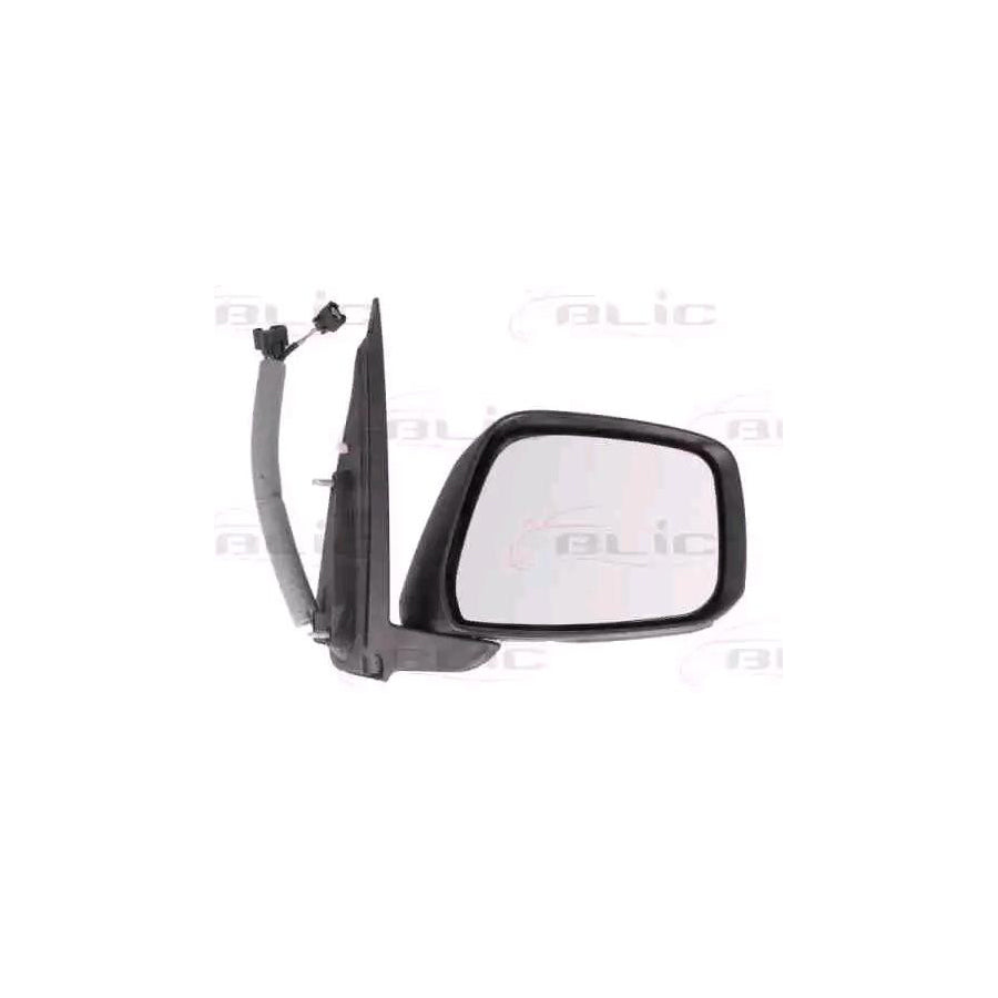Blic 5402-16-2001932P Wing Mirror