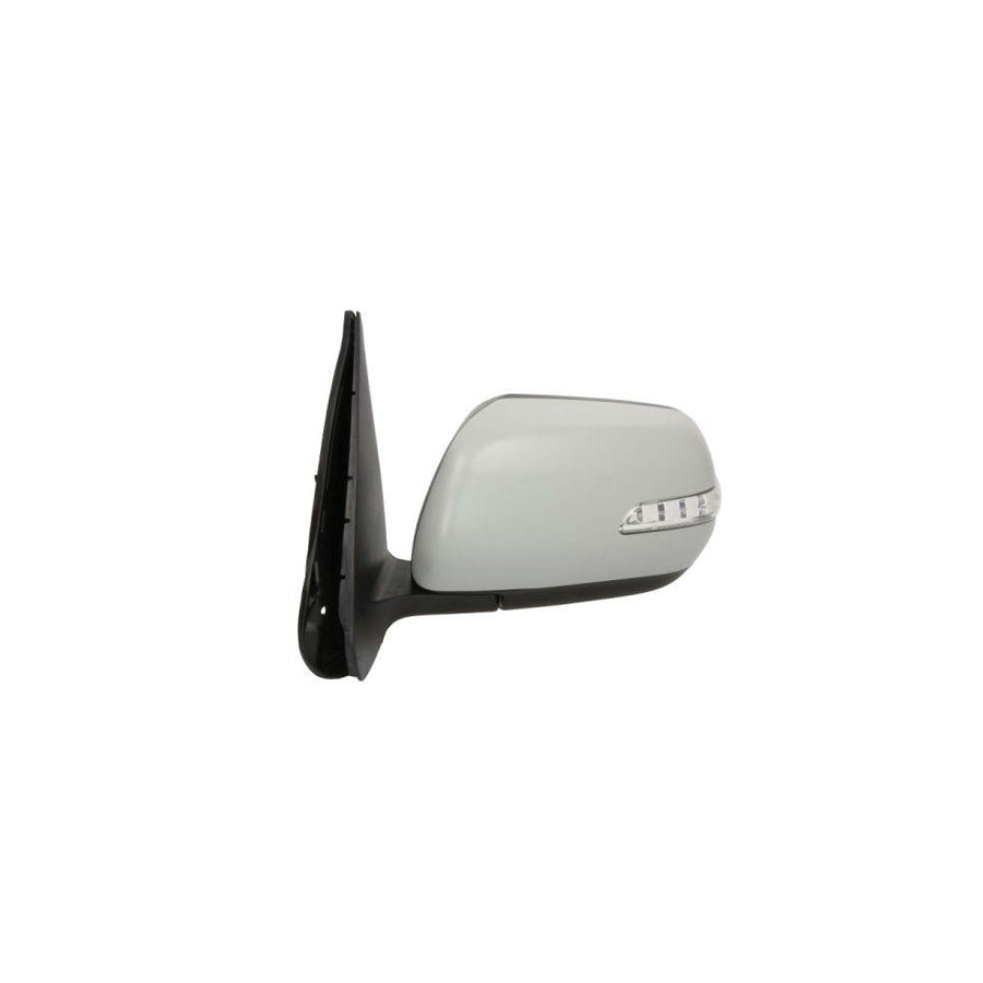 Blic 5402-18-2002413P Wing Mirror For Suzuki Grand Vitara II Off-Road (Jt, Te, Td)