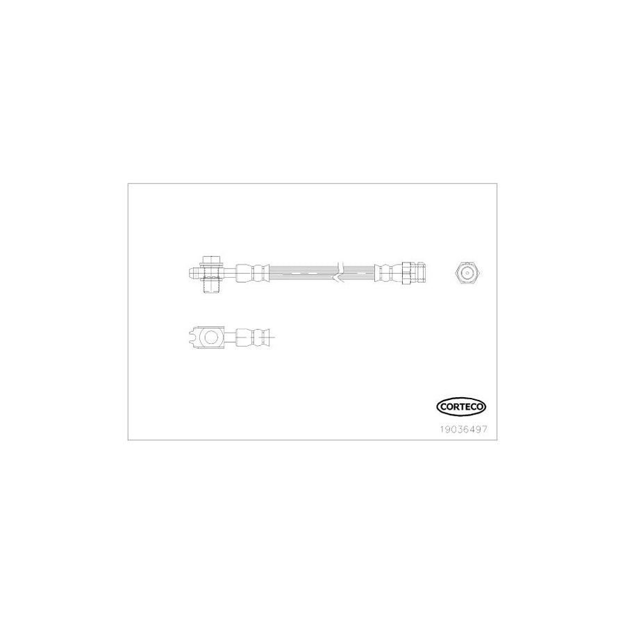 Corteco 19036497 Brake Hose | ML Performance UK