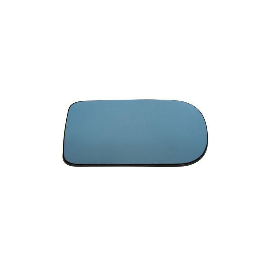 Blic 6502-07-5503991P Radiator Grille For Peugeot 205