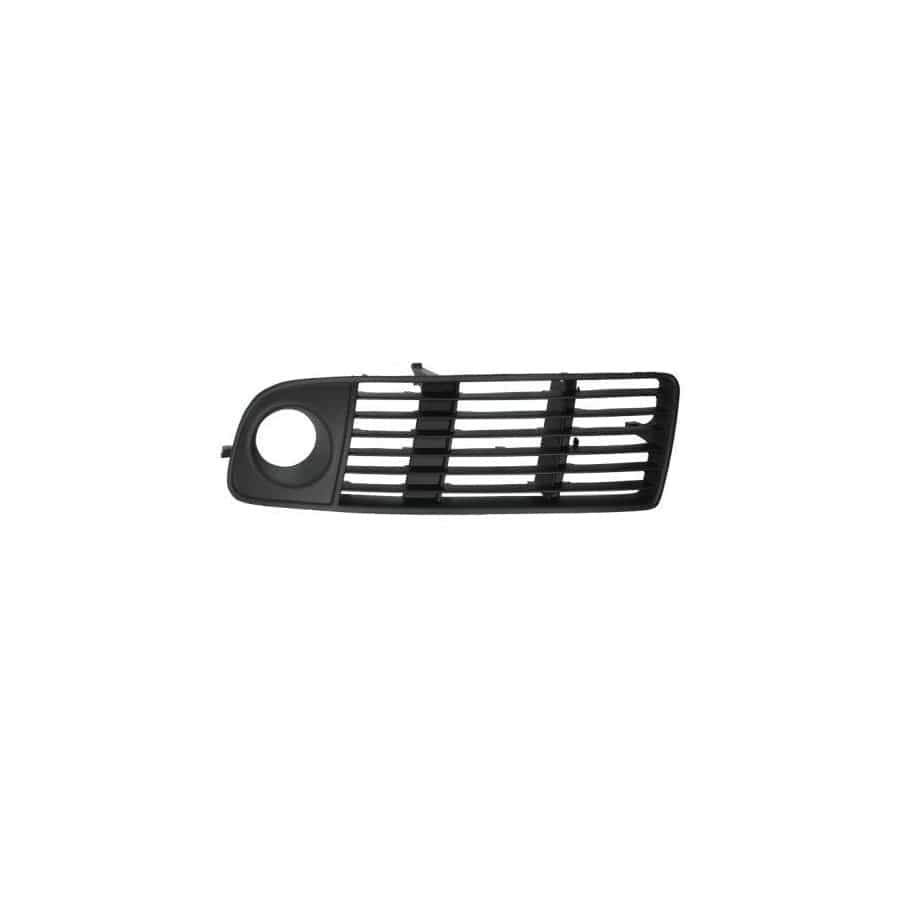 Blic 6502-07-0095922P Bumper Grill For BMW X5 (E53)