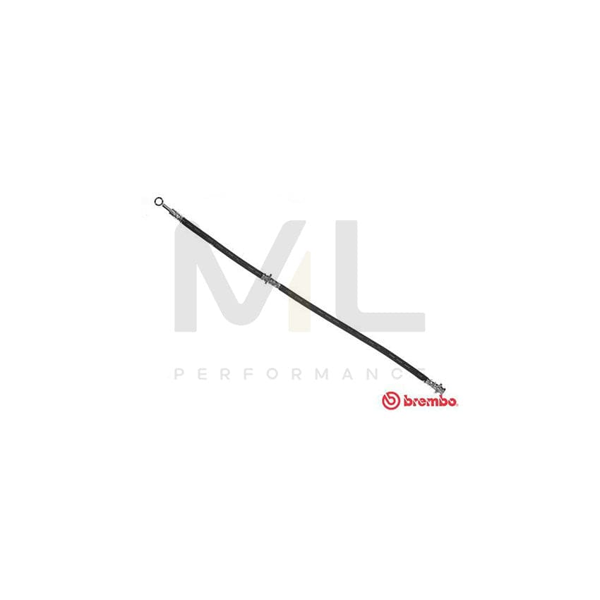 BREMBO T 56 134 Brake Hose 568mm, F10X1 | ML Performance Car Parts