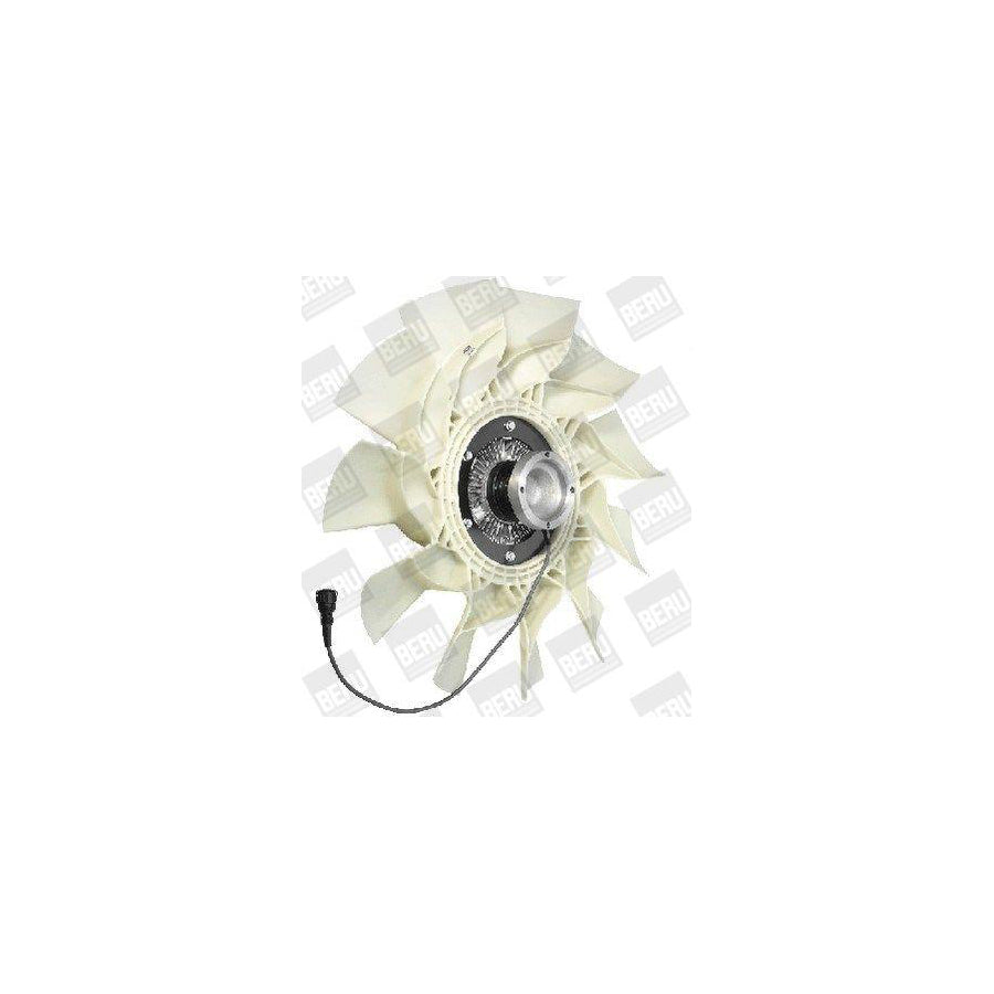 Beru LKK041 Fan, Radiator
