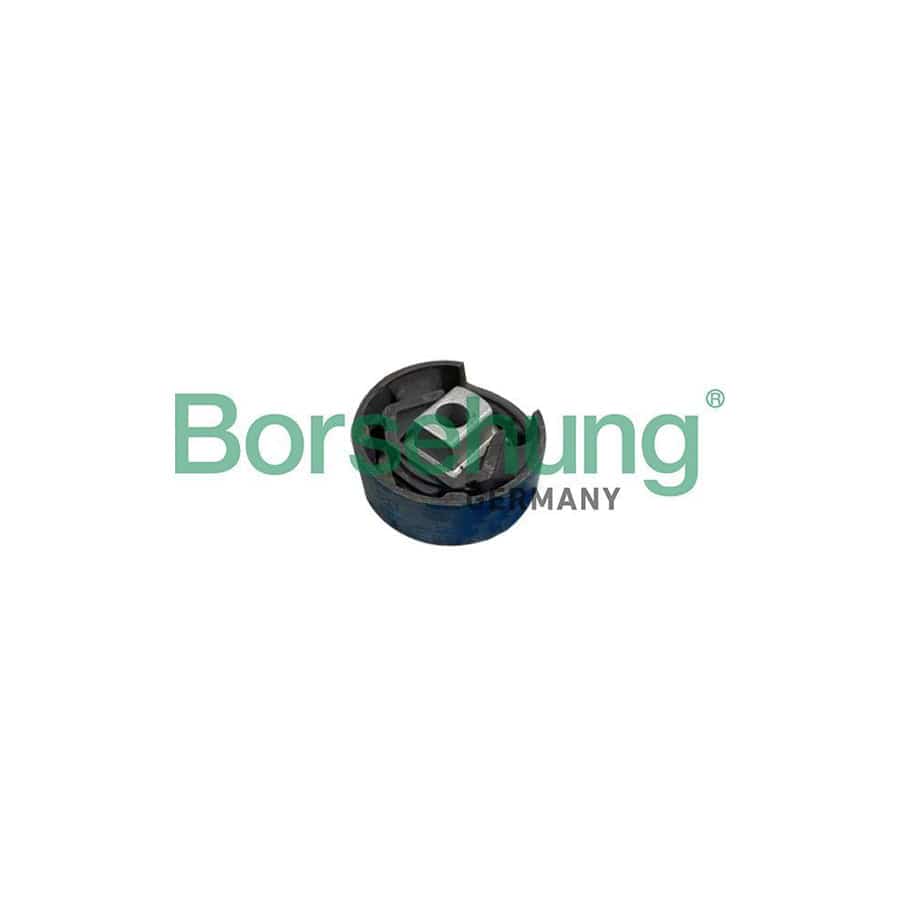 Borsehung B10031 Axle Bush