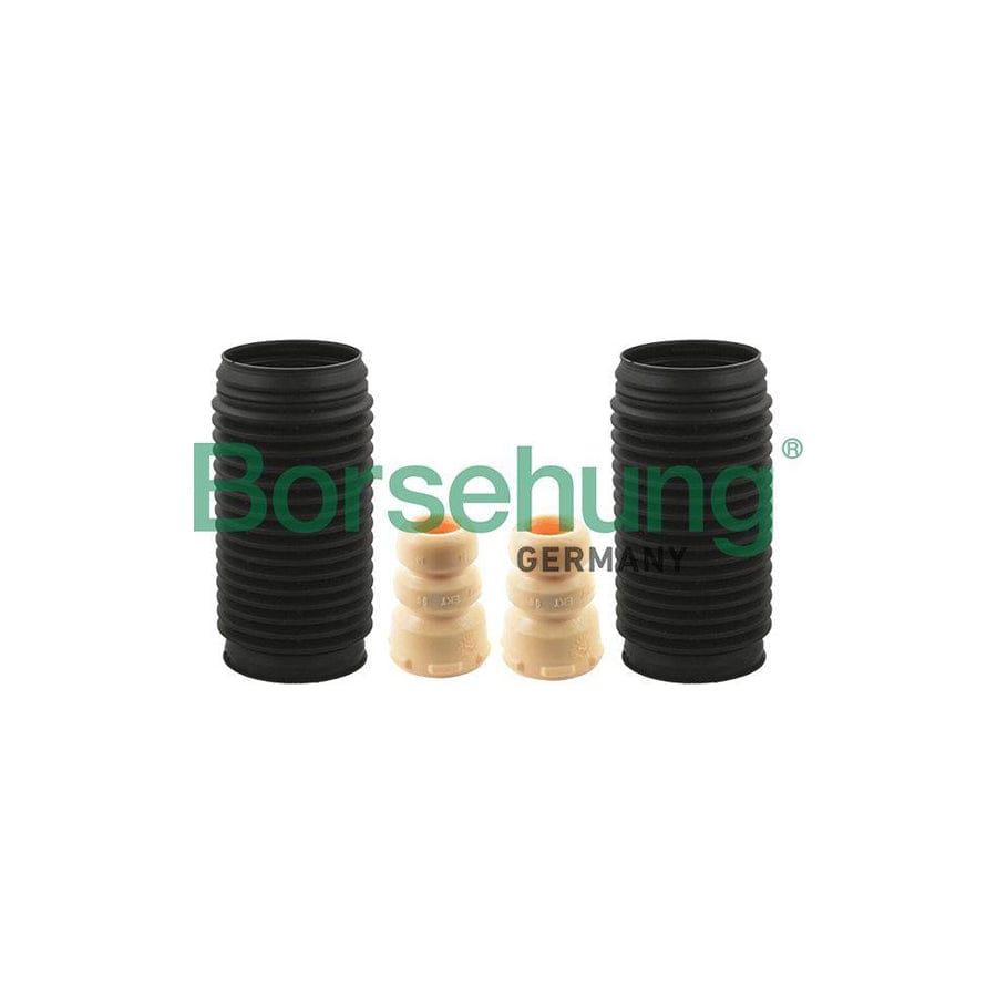 Borsehung B10028 Dust Cover Kit, Shock Absorber
