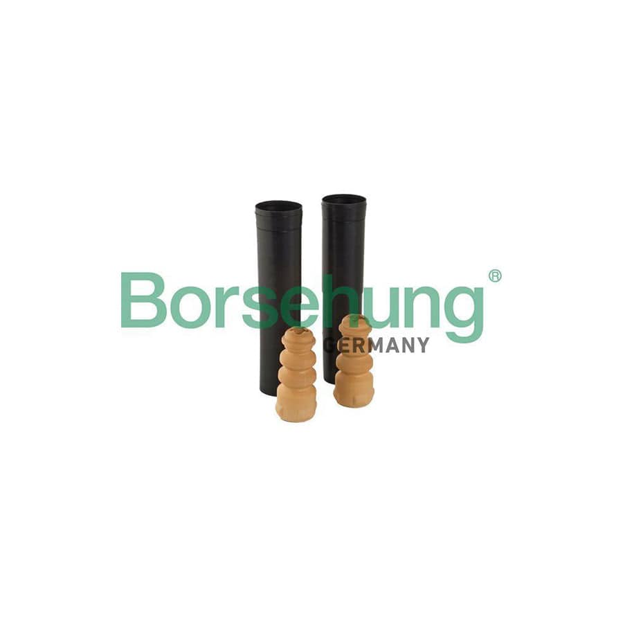 Borsehung B10019 Dust Cover Kit, Shock Absorber