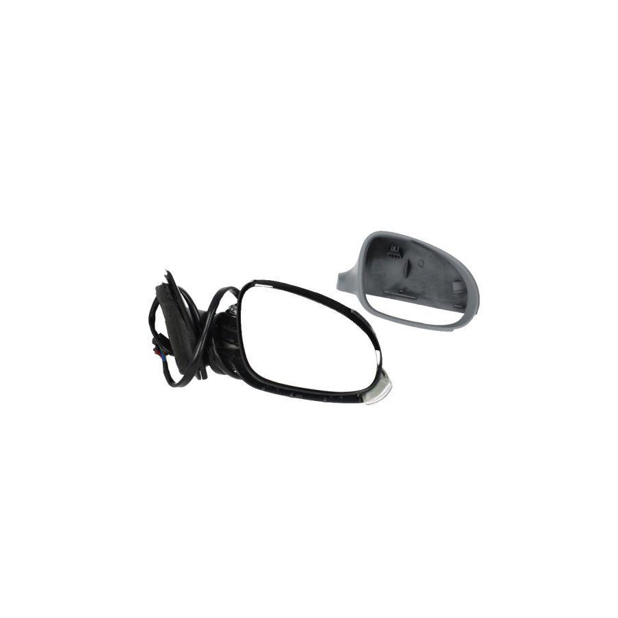 Blic 5402-04-1122118 Wing Mirror For VW Passat