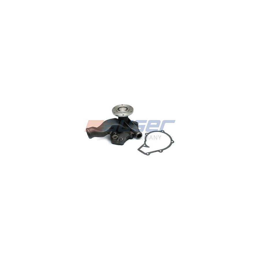 Auger 80768 Water Pump