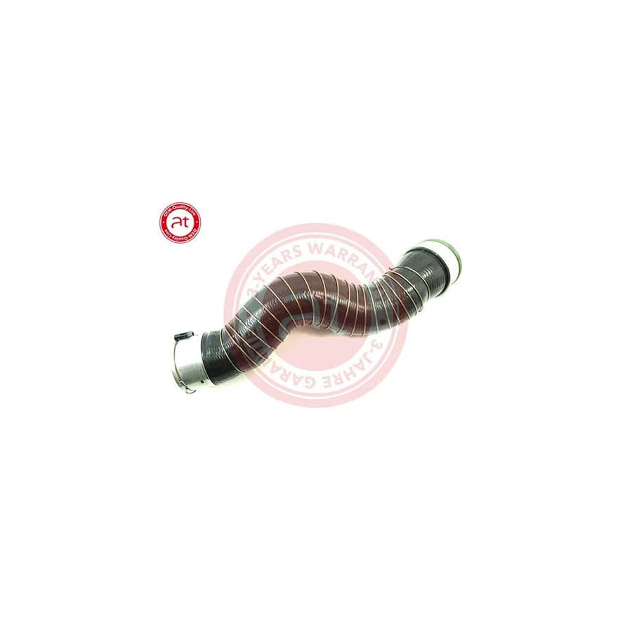 At Autoteile Germany at22439 Charger Intake Hose