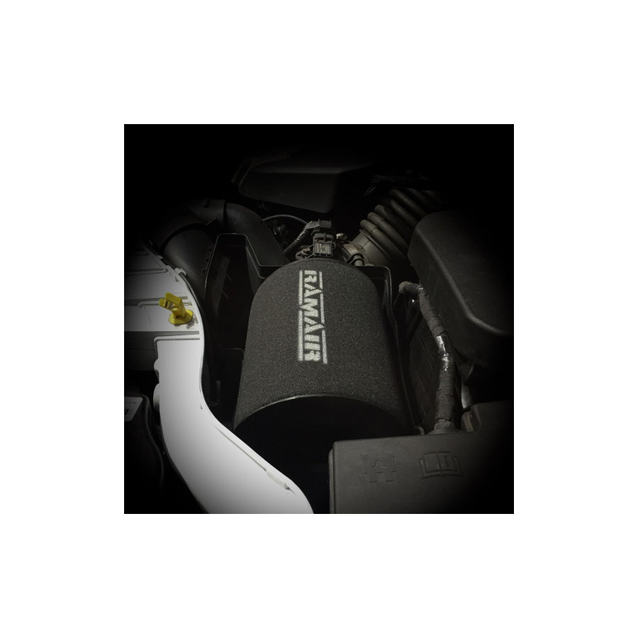 RAMAIR RPF-1869 FORD FOCUS C-MAX MK 1 1.8 TDCI (05/07 - 08/10) PANEL FILTERS | ML Performance UK Car Parts