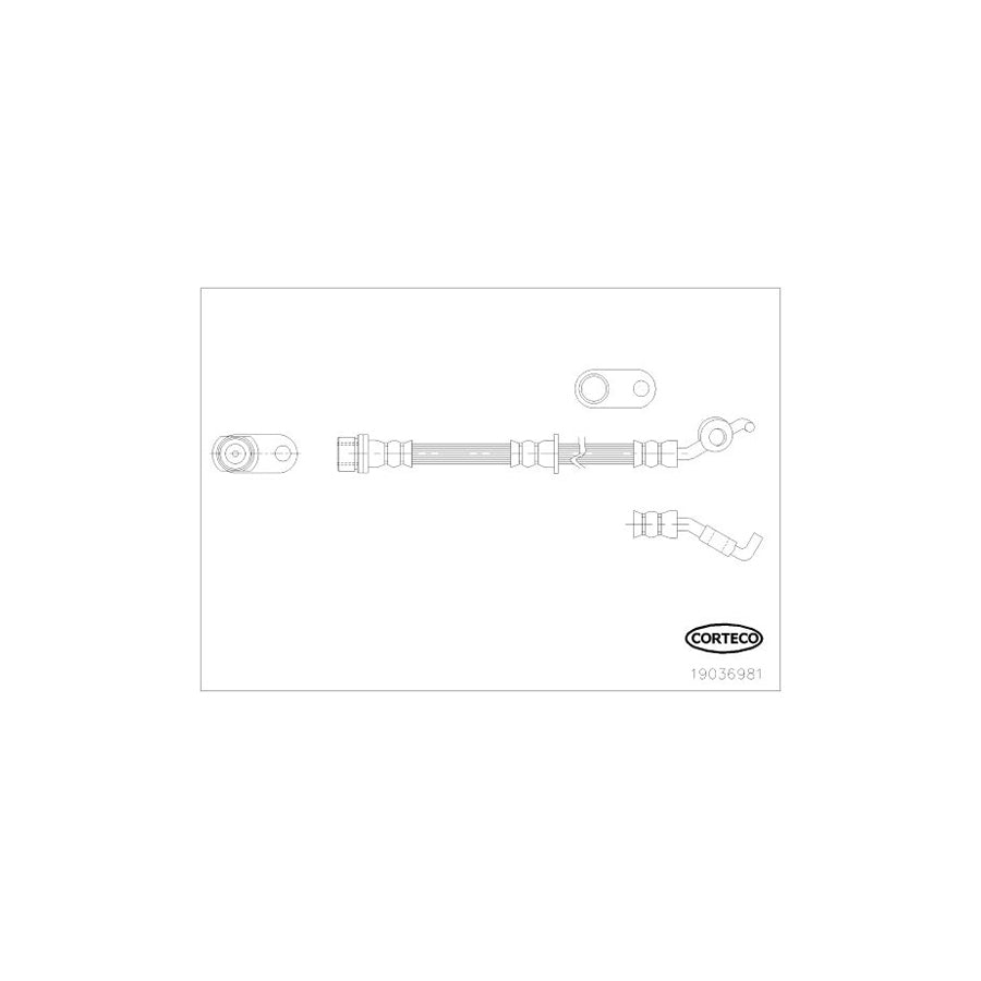 Corteco 19036981 Brake Hose | ML Performance UK