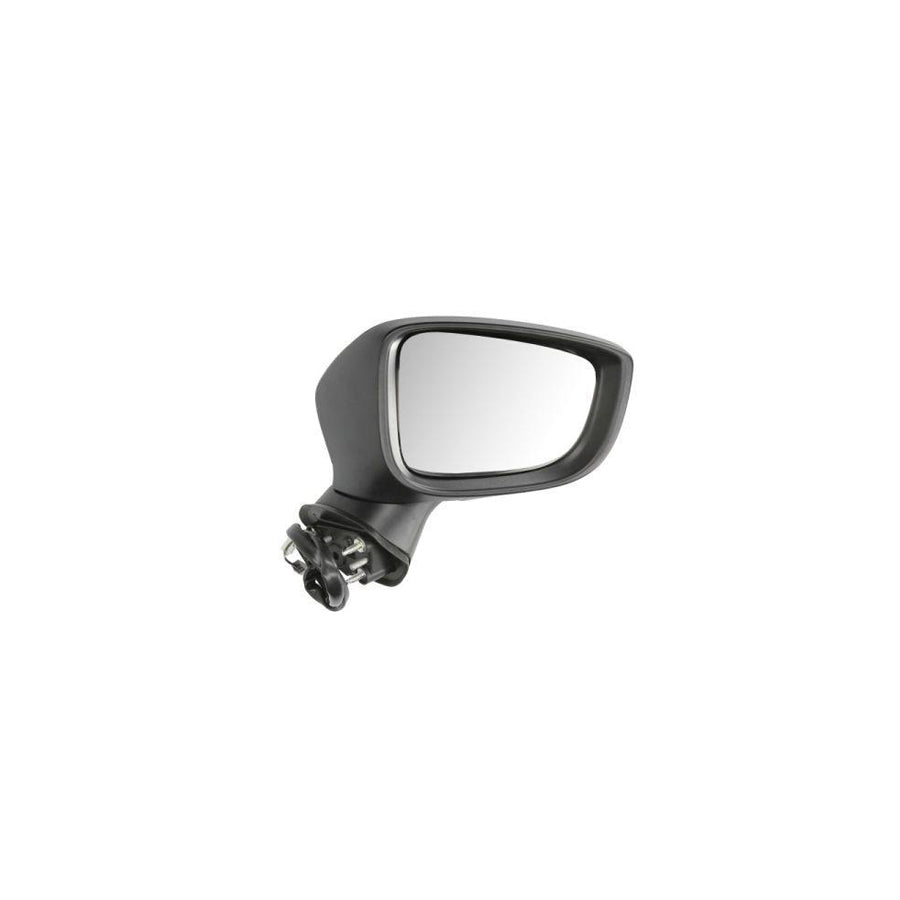Blic 5402-21-044372P Wing Mirror