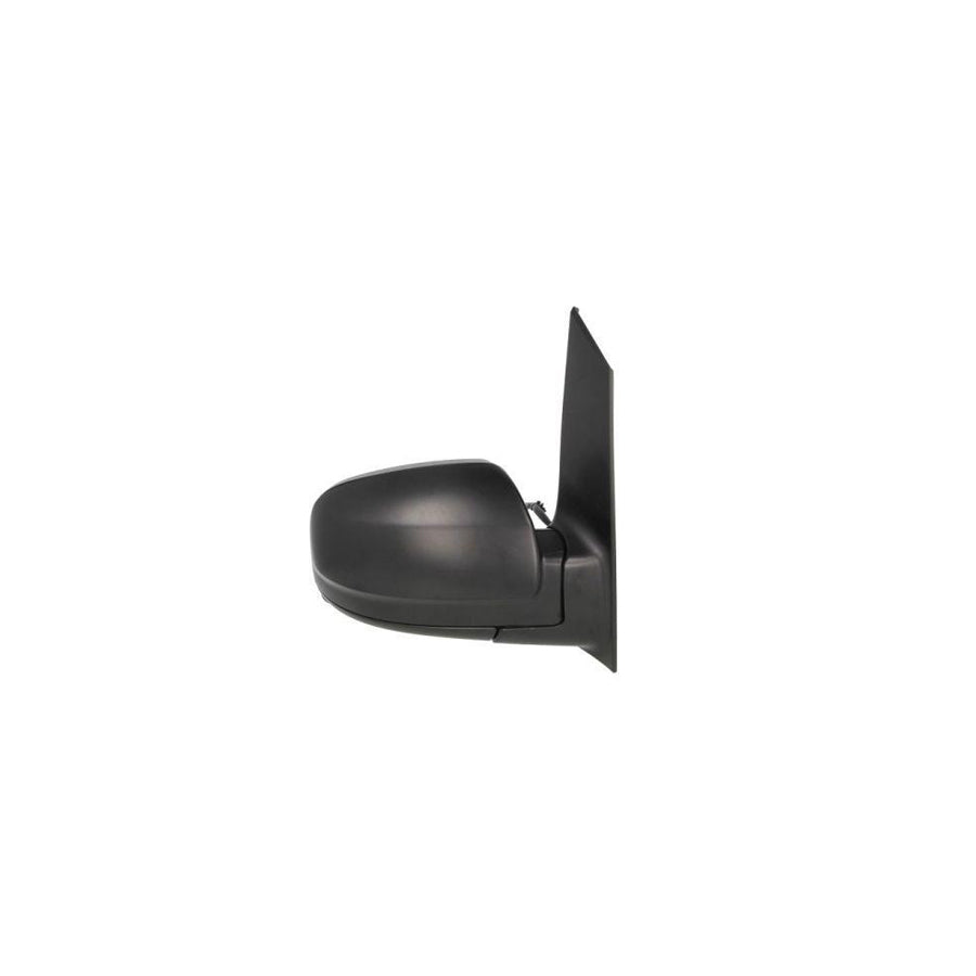 Blic 5402-02-2001832P Wing Mirror