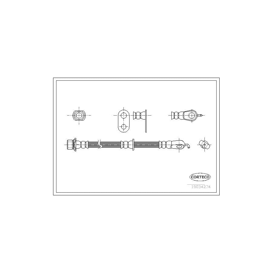 Corteco 19034274 Brake Hose | ML Performance UK