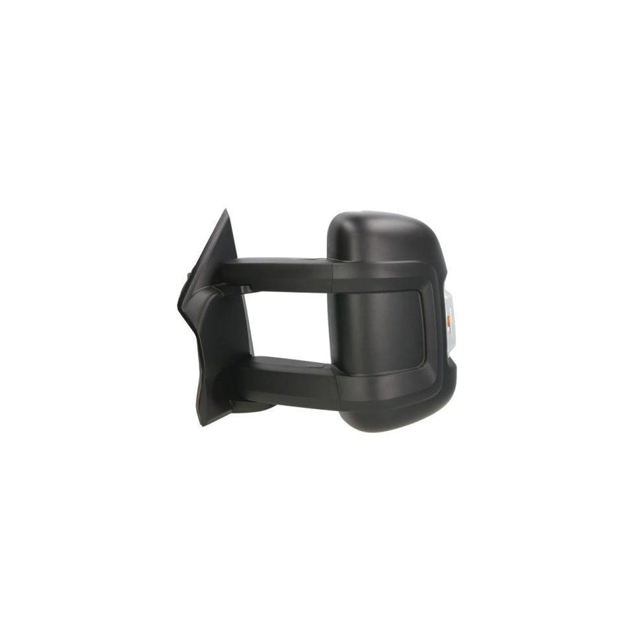 Blic 5402-21-2001117P Wing Mirror