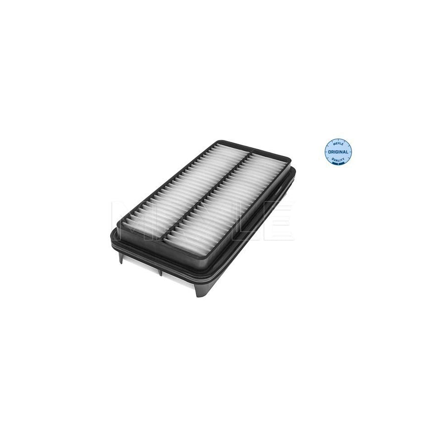 Meyle 30-12 321 0041 Air Filter