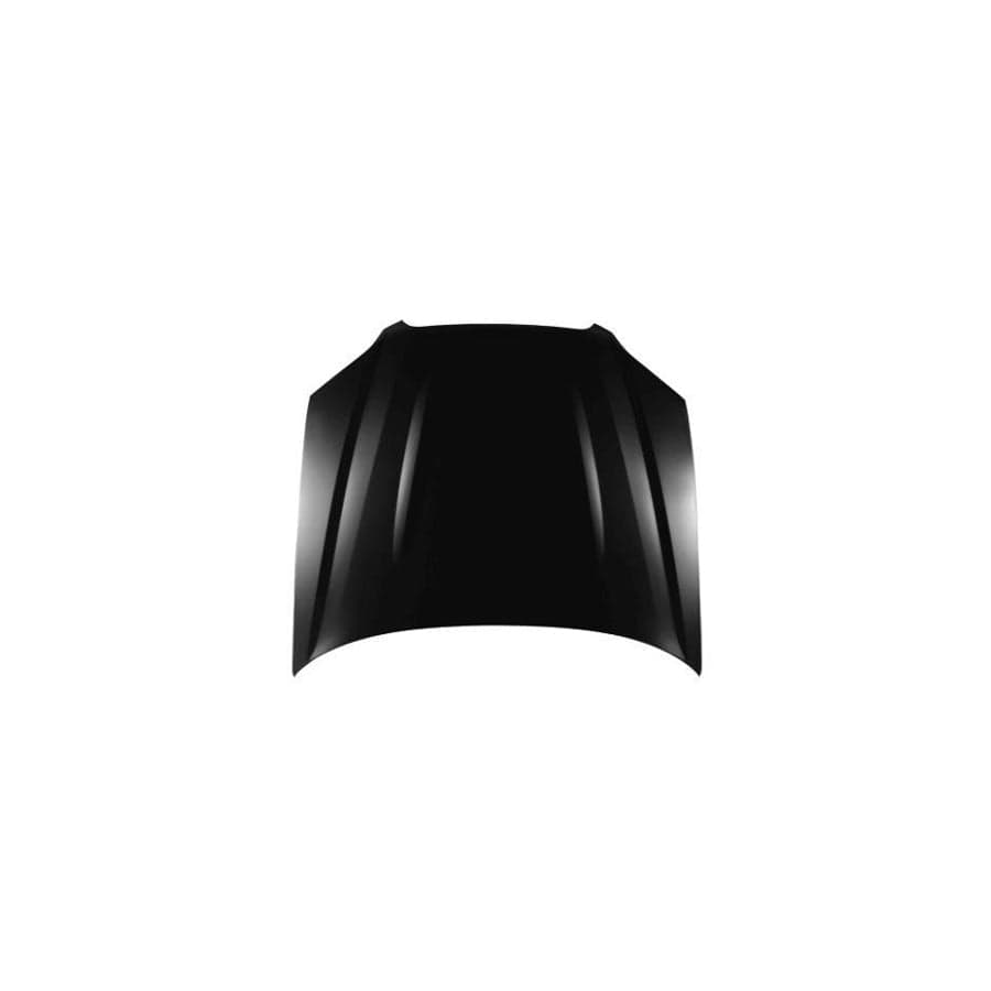 Abakus 04915105 Bonnet For Subaru Outback Iii (Bl, Bp) | ML Performance UK