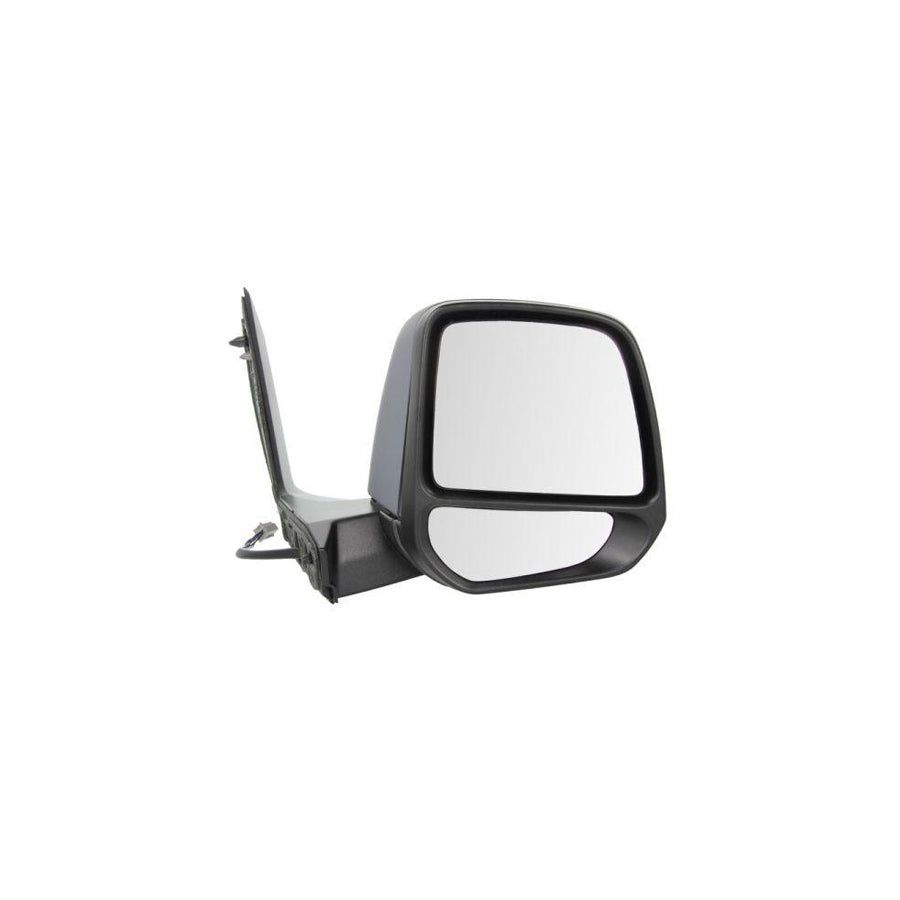 Blic 5402-03-2001248P Wing Mirror