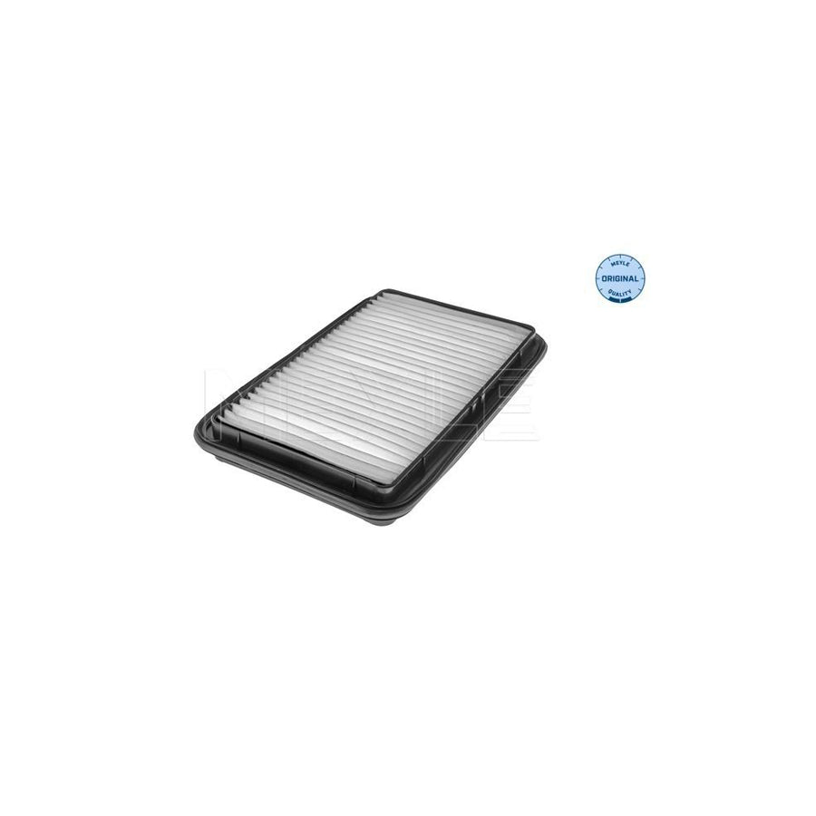 Meyle 33-12 321 0009 Air Filter