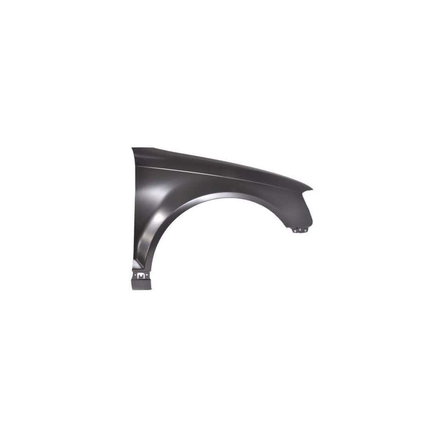 Abakus 00318212 Wing Fender For Audi A3 | ML Performance UK