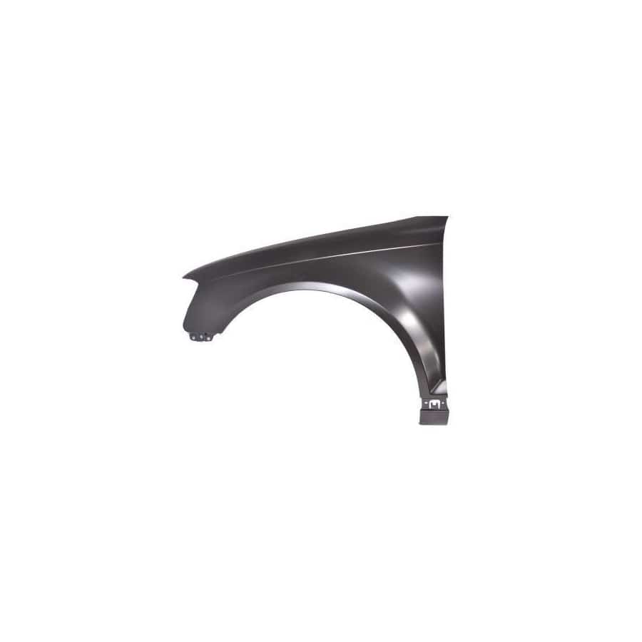 Abakus 00318211 Wing Fender For Audi A3 | ML Performance UK