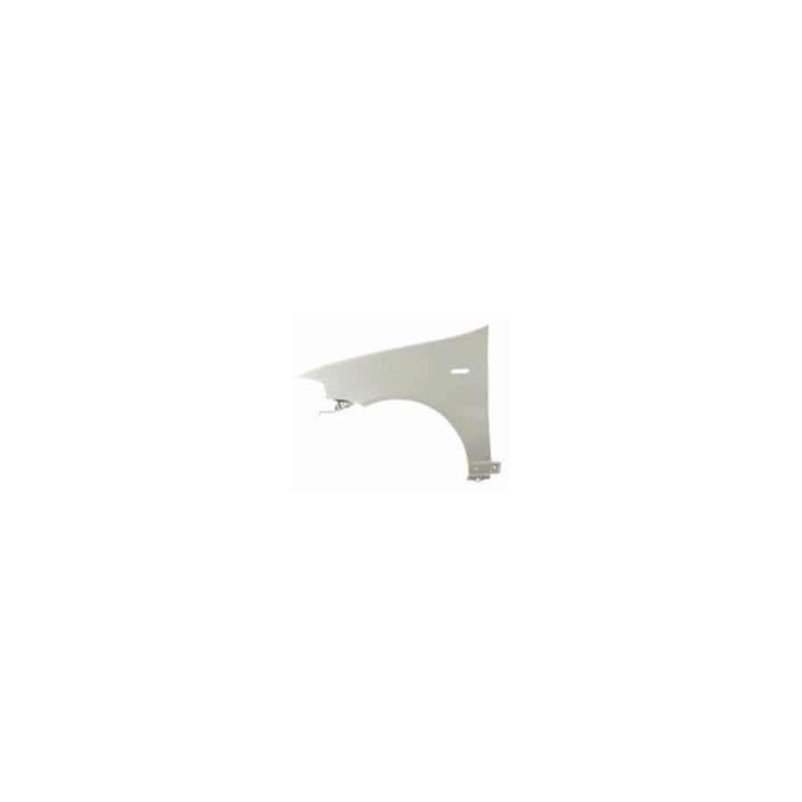 Abakus 01609211 Wing Fender For Fiat Palio | ML Performance UK