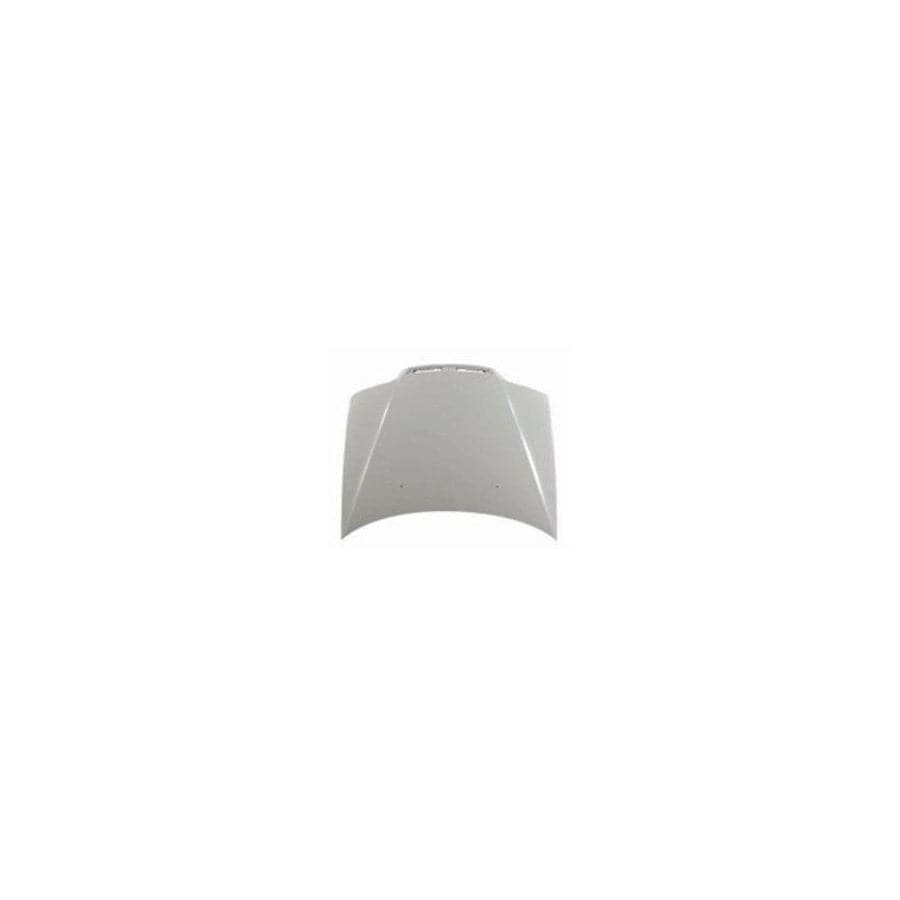Abakus 01609100 Bonnet For Fiat Palio | ML Performance UK