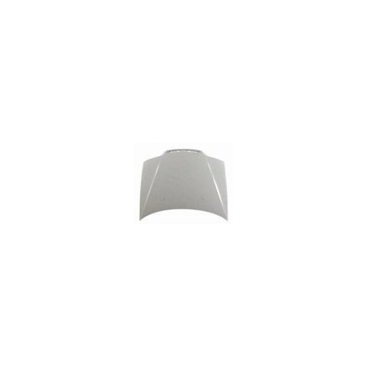 Abakus 01609100 Bonnet For Fiat Palio | ML Performance UK