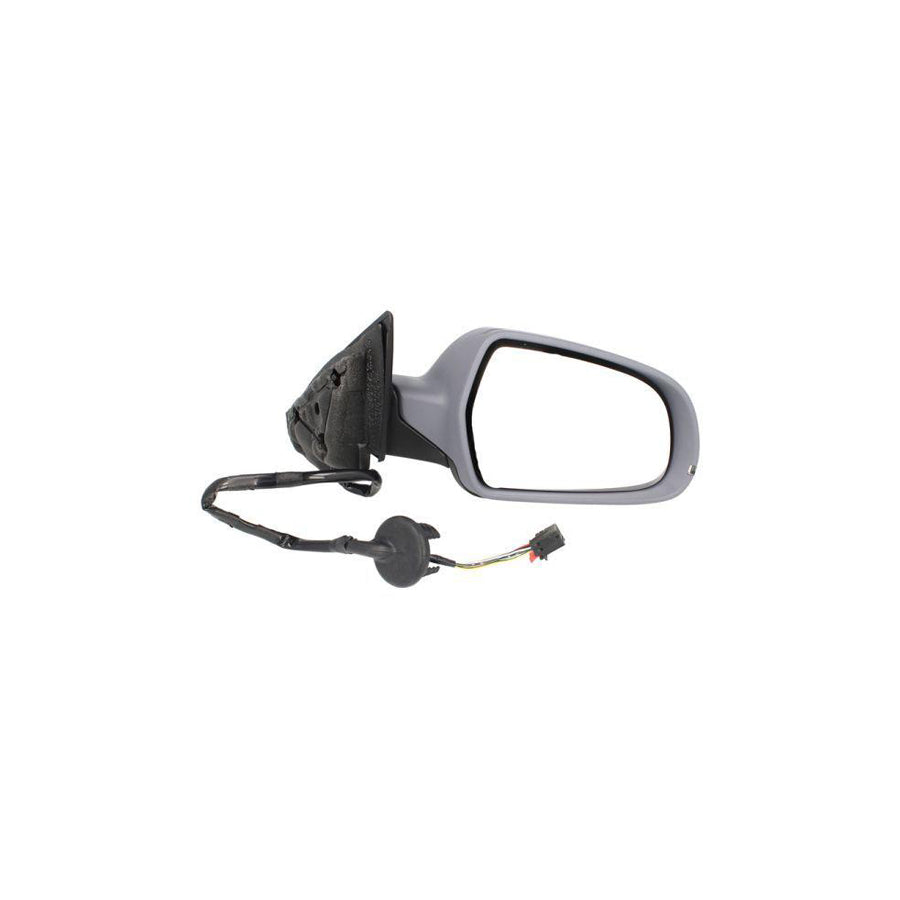 Blic 5402-25-048332P Wing Mirror For Audi A3