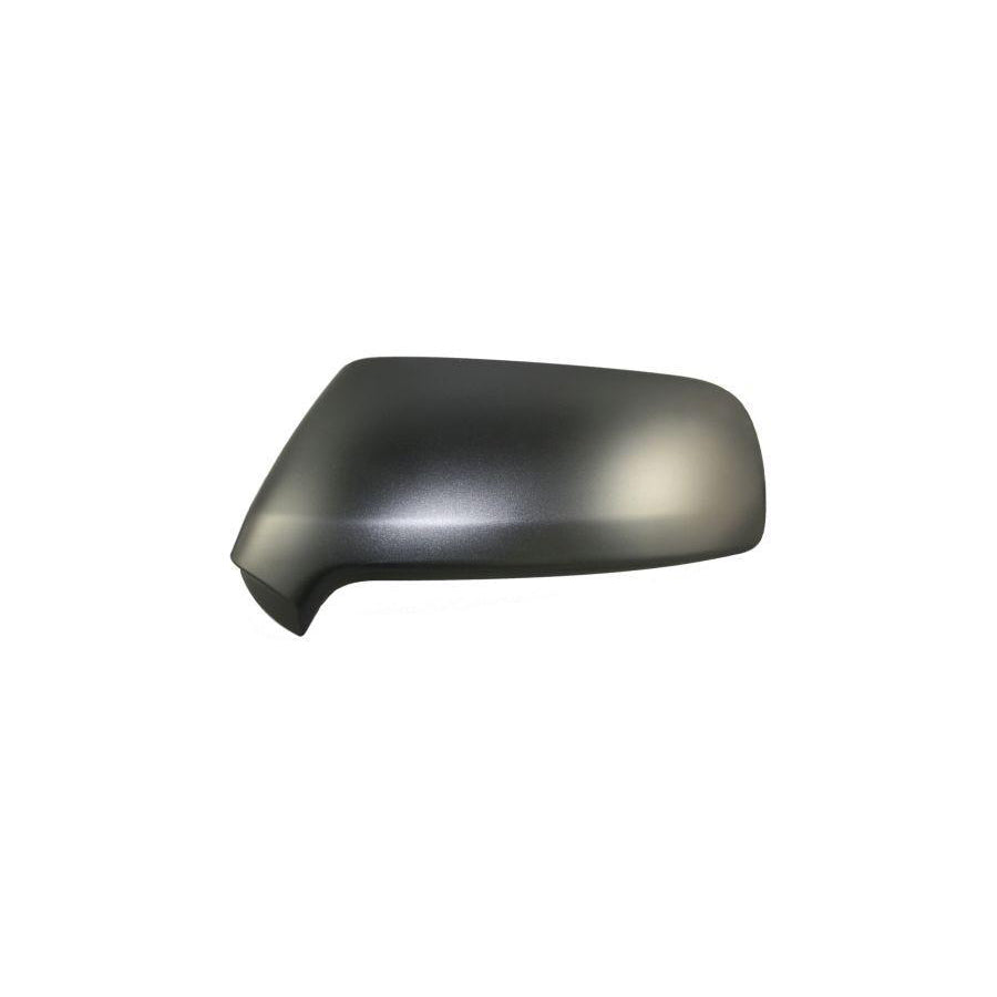 Abakus 0507C04 Cover, Outside Mirror | ML Performance UK