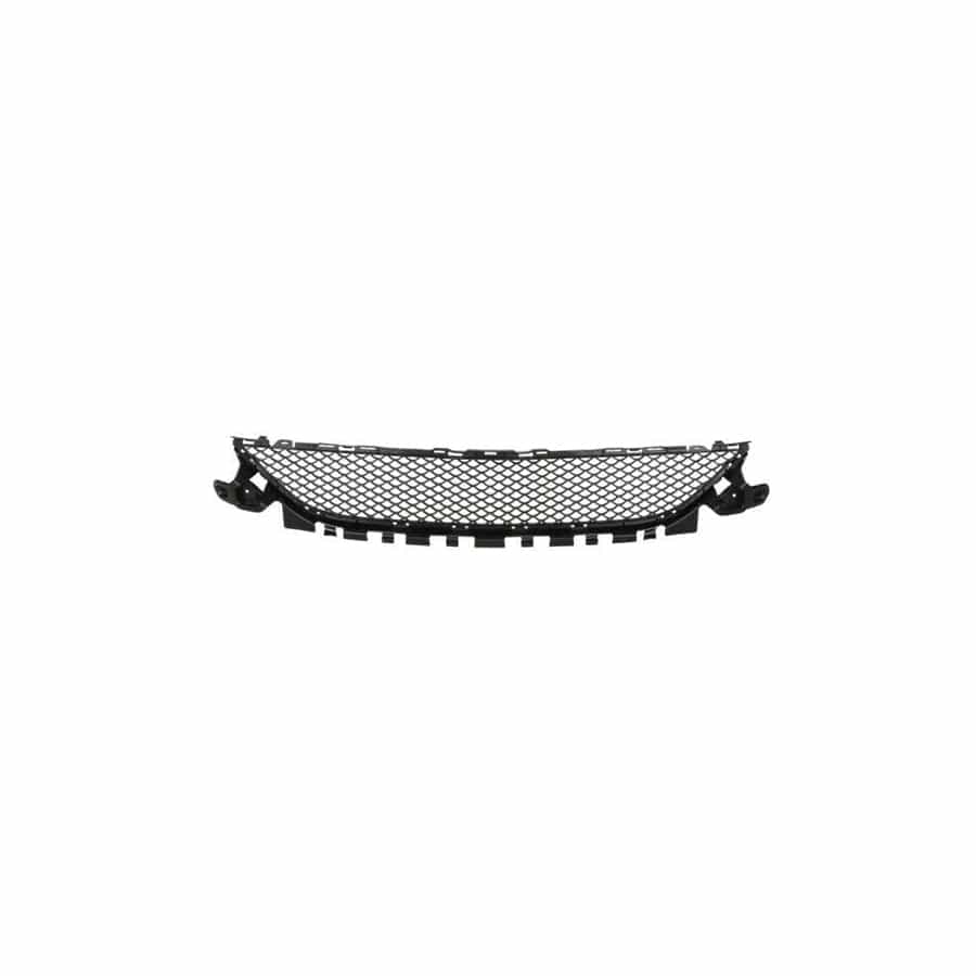 Blic 6502-07-3521910Pp Bumper Grill Suitable For Mercedes-Benz C-Class