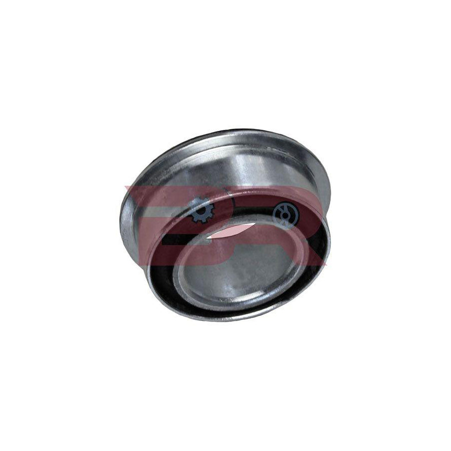 Botto Ricambi BRS0343 Control Arm- / Trailing Arm Bush For Iveco Daily