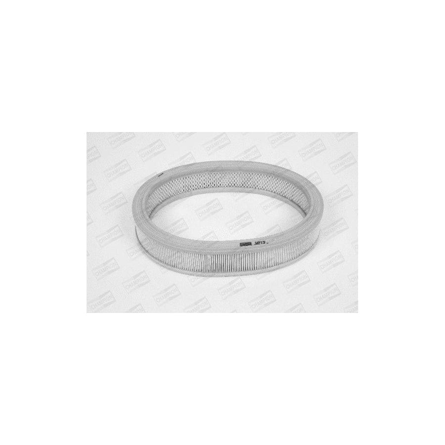 Champion W712/606 Air Filter