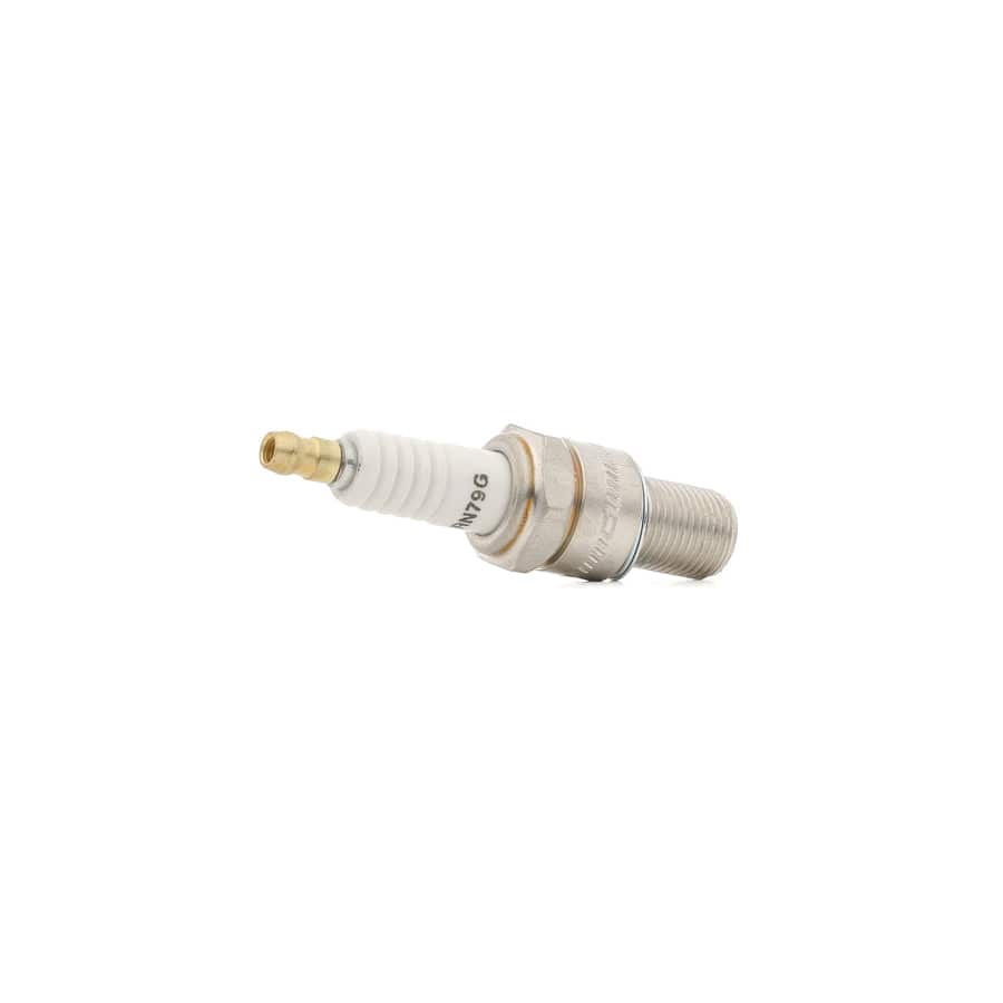 Champion Rn79G/014 Spark Plug