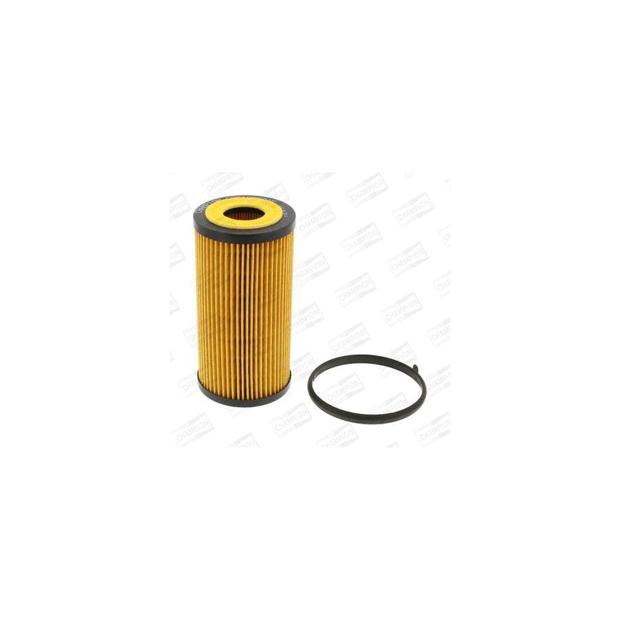 Champion Eon Titan COF100534E Oil Filter