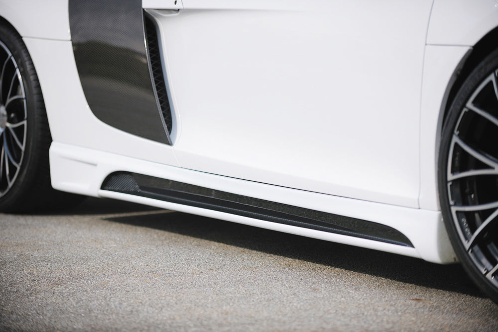 Rieger 00055609 Carbon Side Skirt