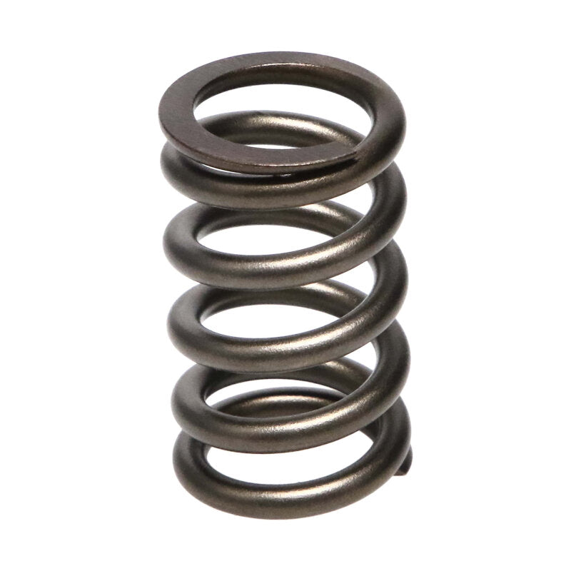 Manley Performance Manley Dodge SRT-4 16pc Valve Springs