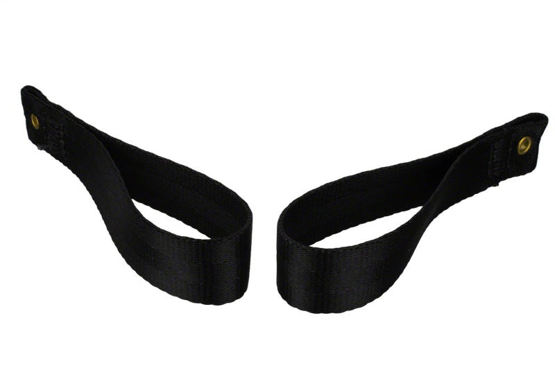 Ford Racing Bronco Tube Door Pull Strap