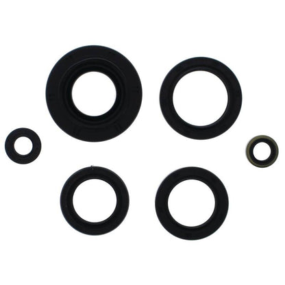 Vertex Pistons Vertex Gaskets 12-14 Kawasaki KVF750 Brute Force Oil Seal Kit