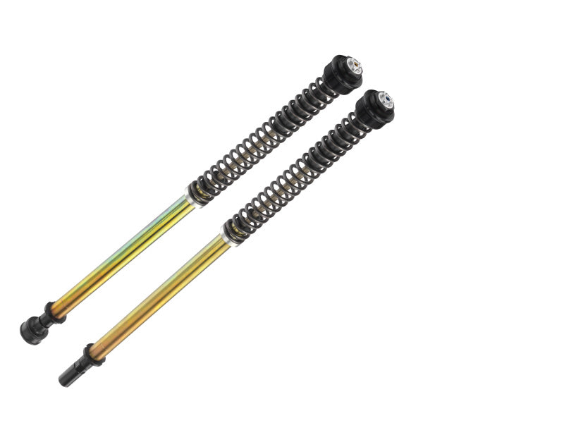 Bitubo Suspension Bitubo JBHV1 Pressurized Cartridge Adj.: Spring Preload, Rebound, Comp., w/o Oil, Red Ring
