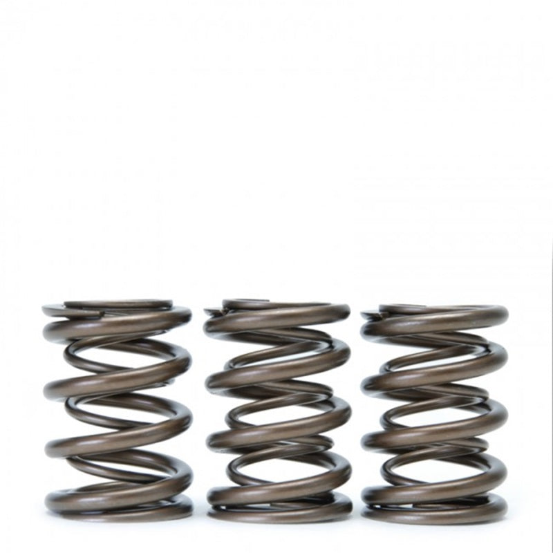 Skunk2 Racing Skunk2 Tuner Series Honda/Acura (H22A/F20B) DOHC VTEC Alpha Valve Spring Set (Dual Springs)