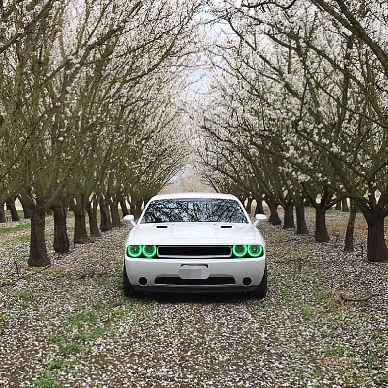 ORACLE Lighting Oracle Dodge Challenger 08-14 Halo Kit (NonProjectorHL) - ColorSHIFT w/o Controller