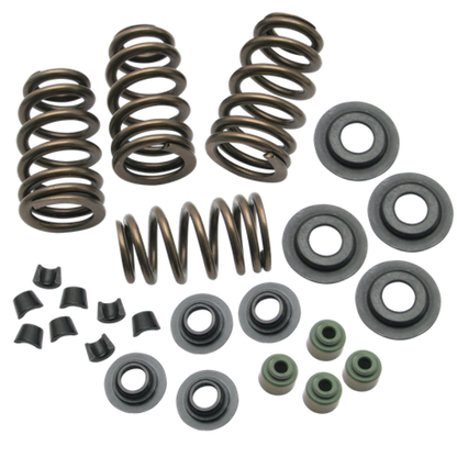 S&S Cycle 04-19 XL Valve Spring Kit - .650in